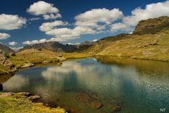 Petit laquet de montagne.