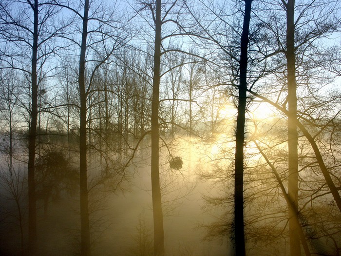 Petit matin à Eprave