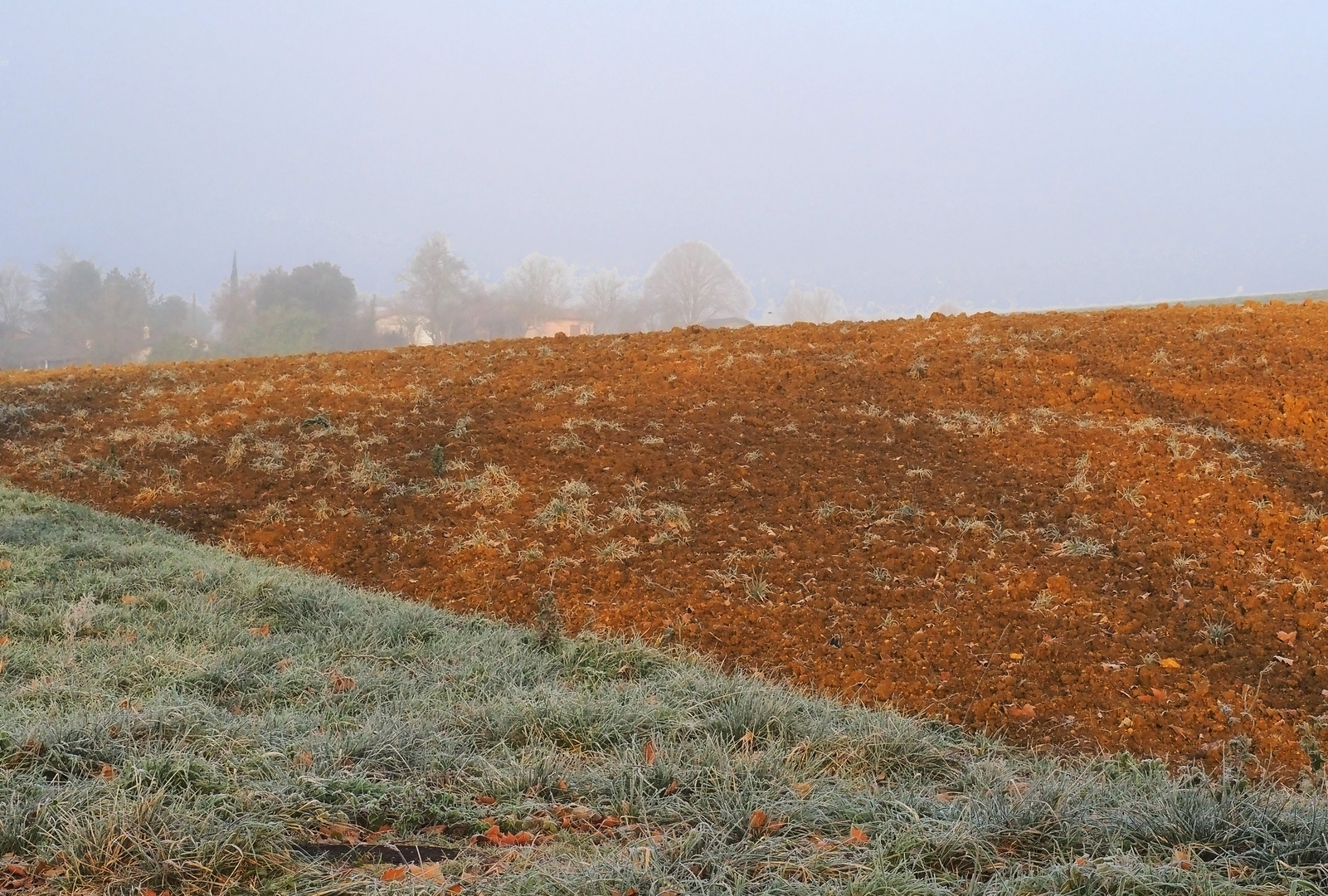 Petit matin brumeux en campagne