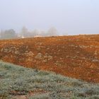 Petit matin brumeux en campagne