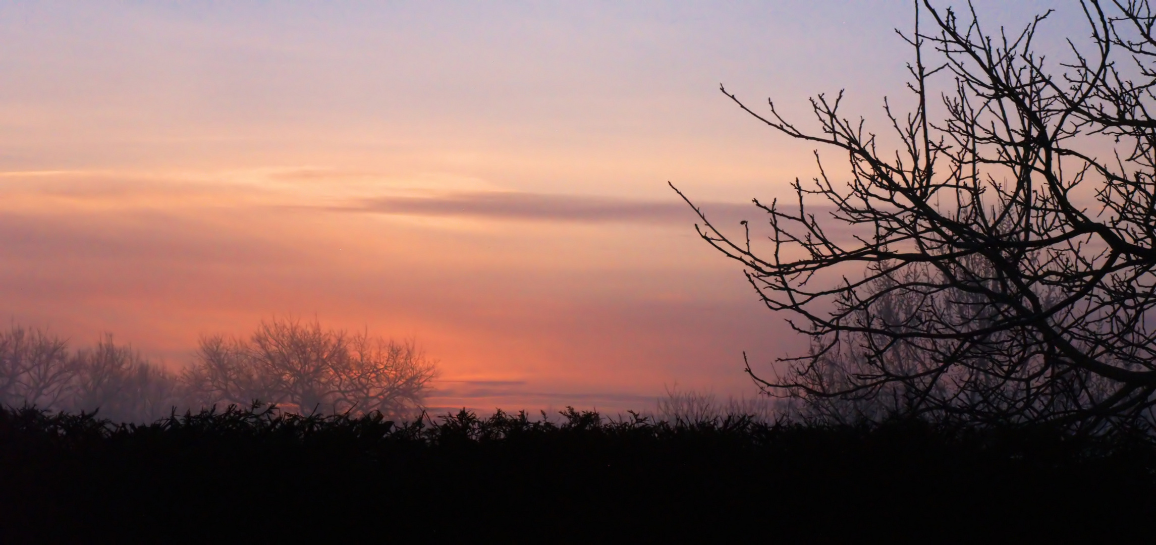 Petit matin brumeux givré