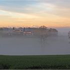 Petit matin brumeux près de chez moi