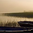 Petit matin brumeux sur l’Etang d’Aureilhan