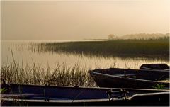 Petit matin brumeux sur l’Etang d’Aureilhan