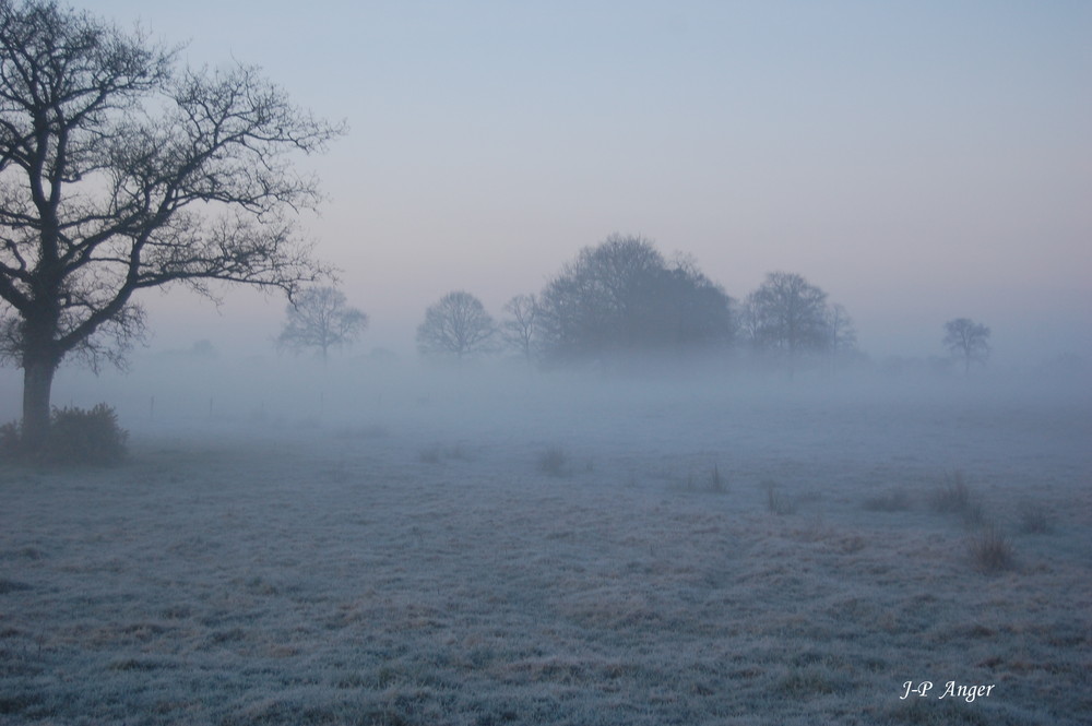 Petit matin en bretagne sud