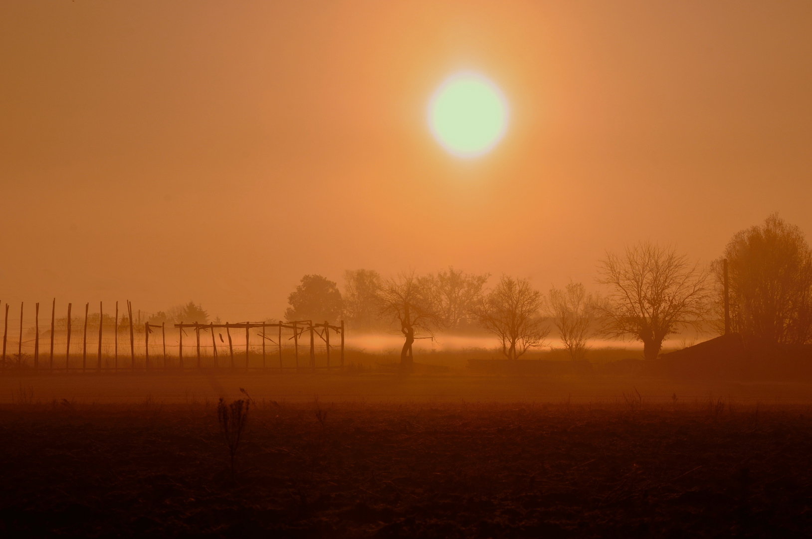 Petit matin frileux