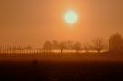 Petit matin frileux von Jean-Claude Roy 