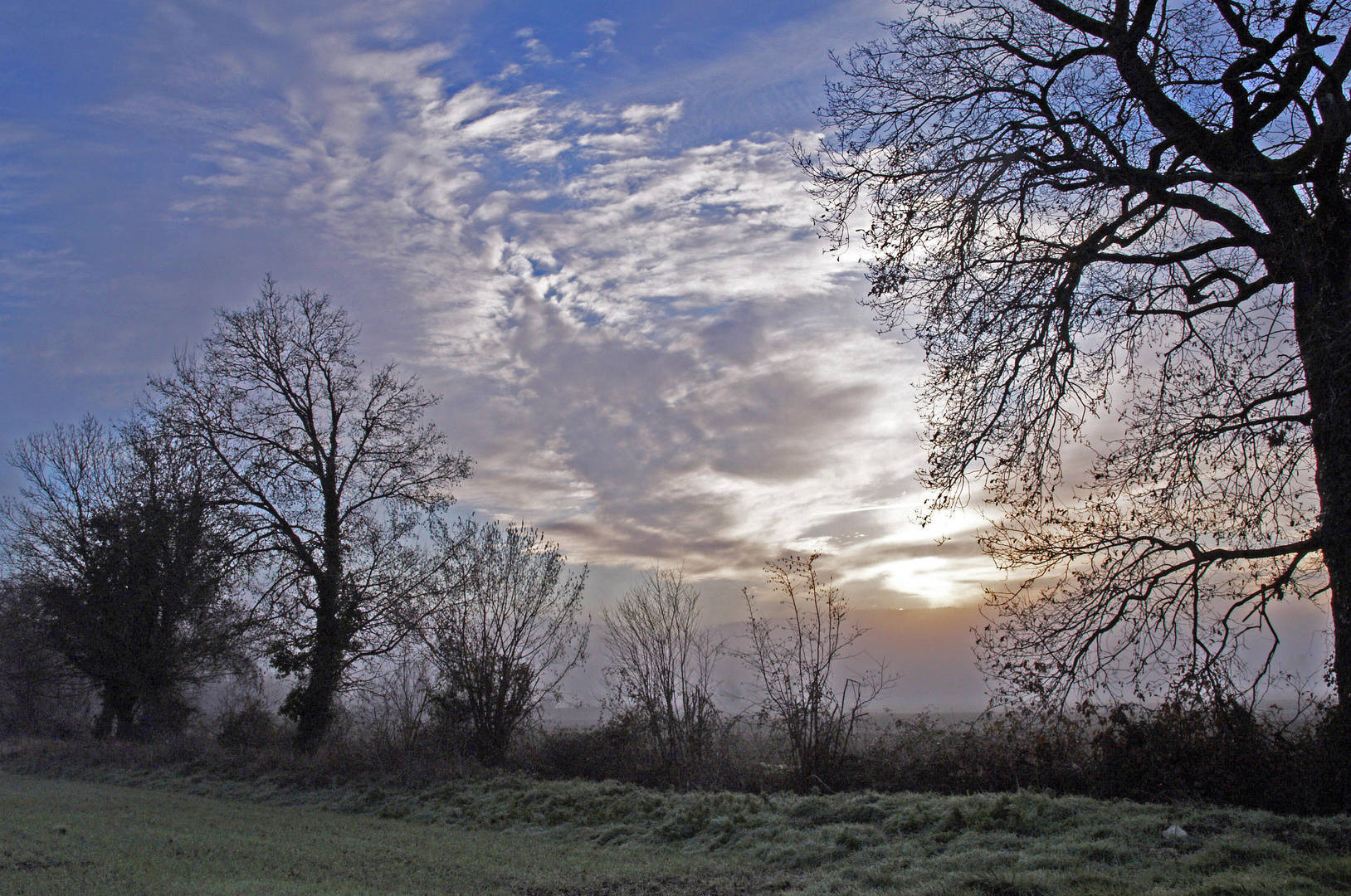 Petit matin hivernal