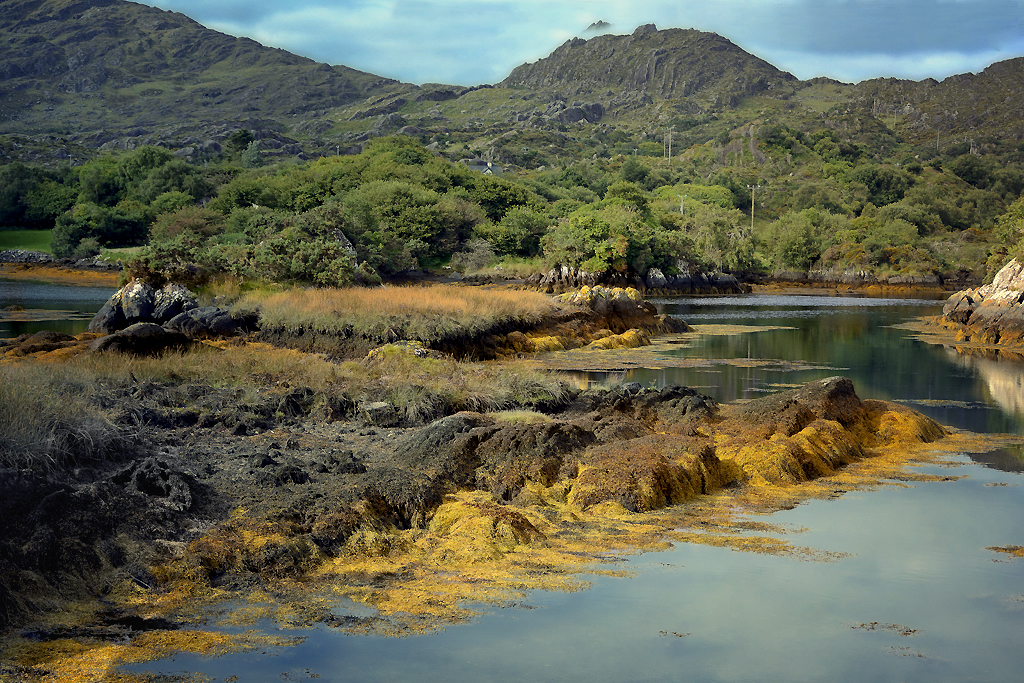 Petit matin sur BEARA