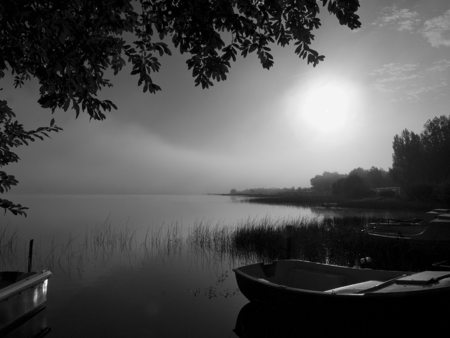 Petit matin sur le lac d‘Aureilhan – Mimizan