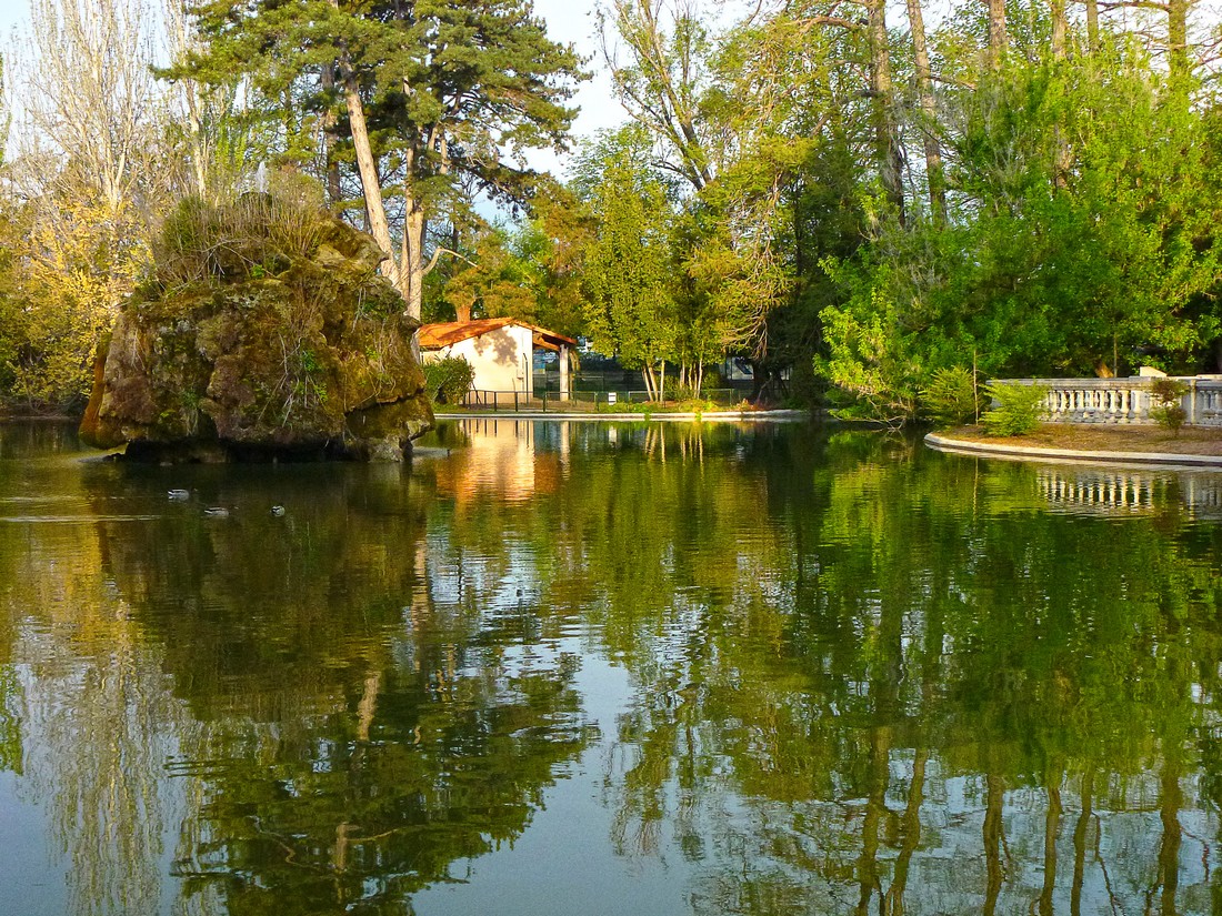 petit matin sur le plan d'eau