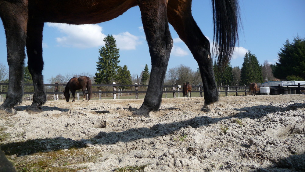 petit parcour libre