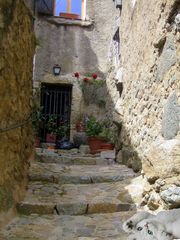 petit paresseux dans les rues de Pigna