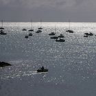 Petit passage en Bretagne. Pointe du Grouin