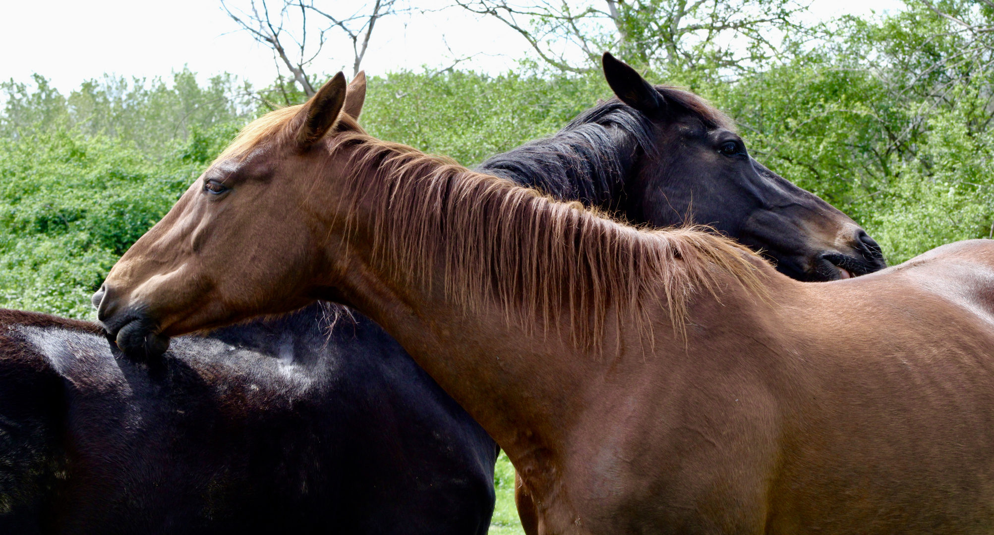 ...petit peu de  tendresse !!!...