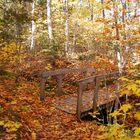 Petit pont de bois