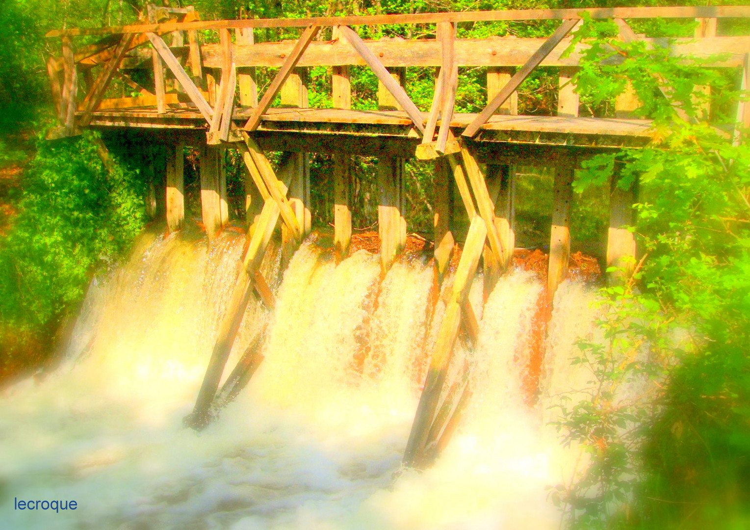 petit pont de bois en pleine foret