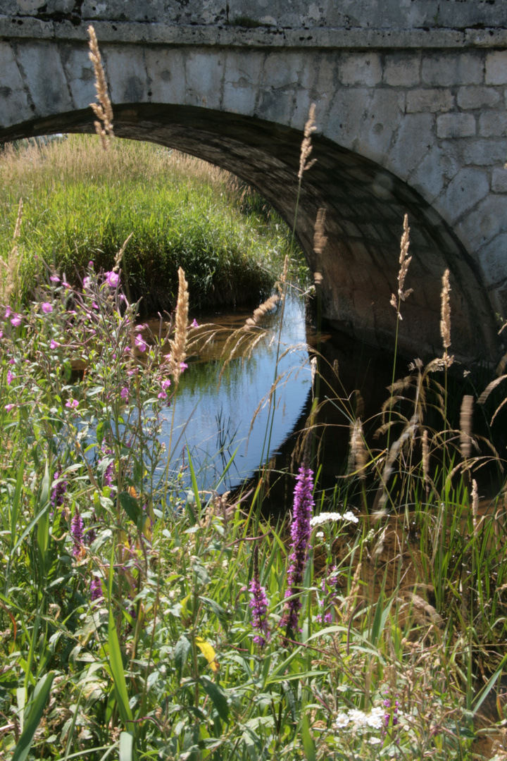 Petit pont du Jura