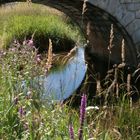 Petit pont du Jura