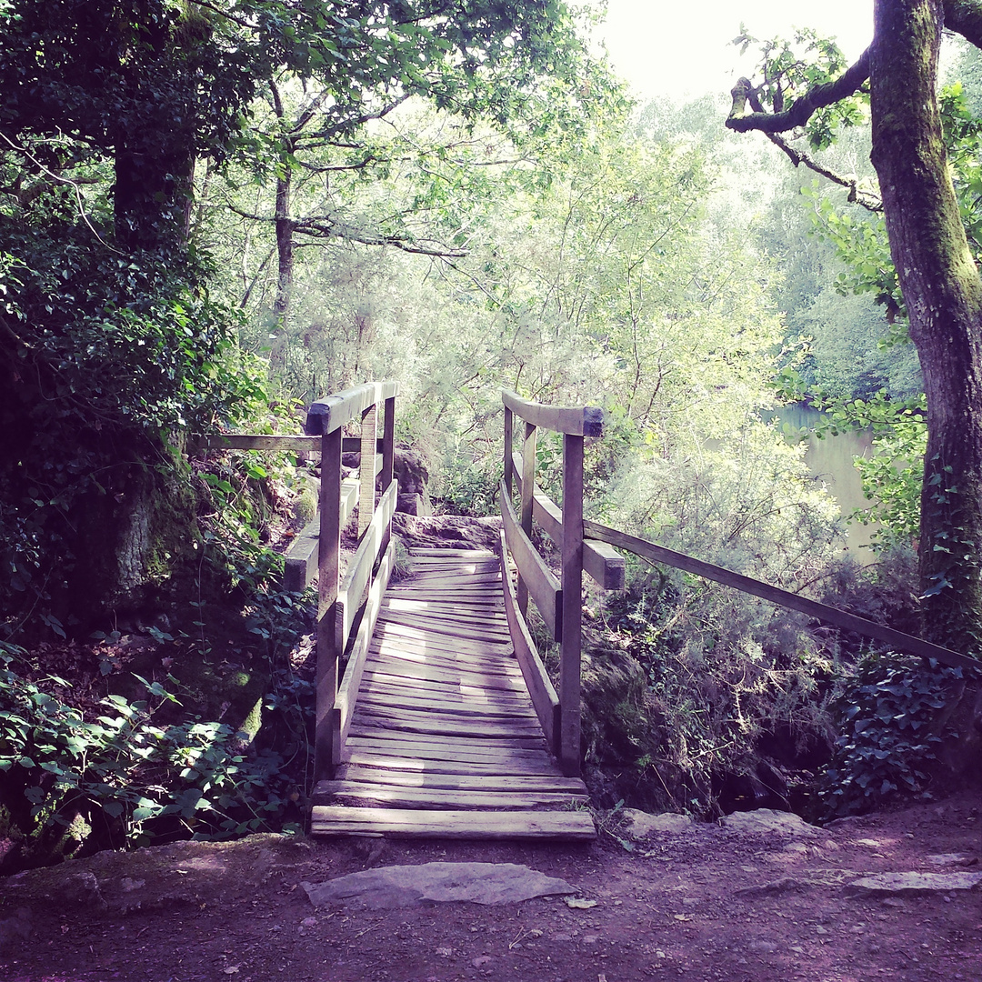 Petit pont du val sans retour