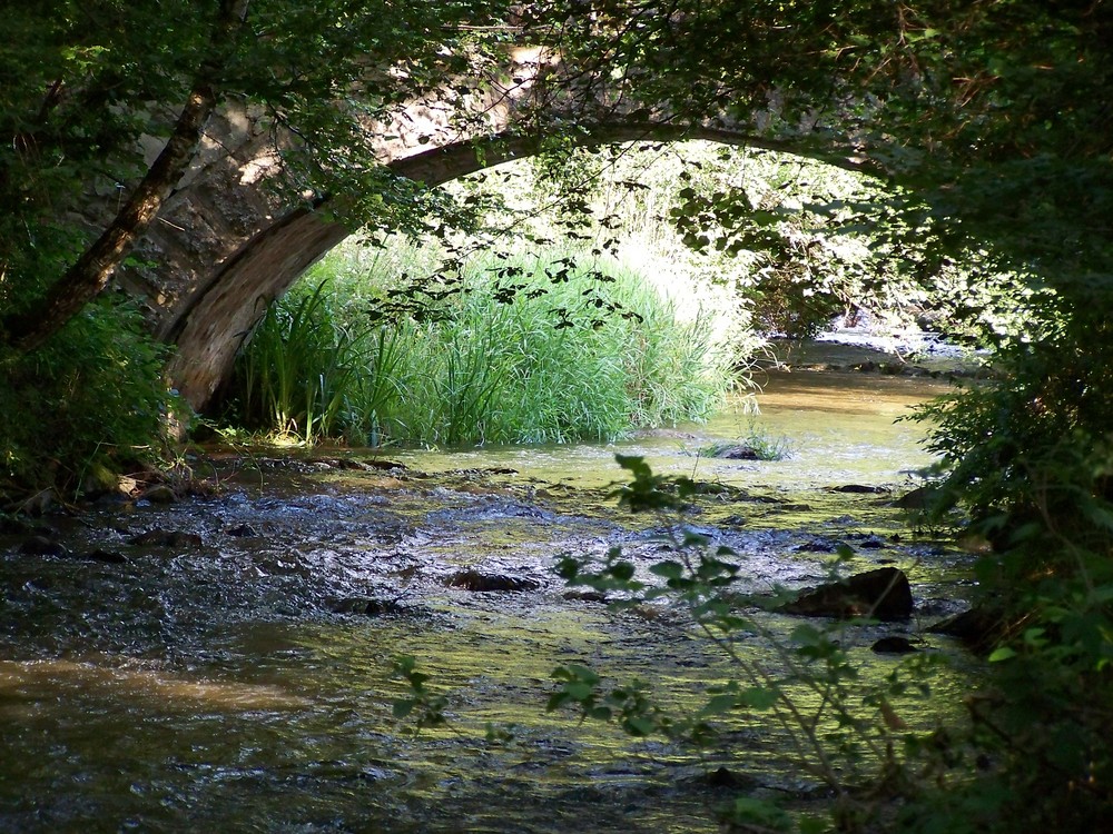 petit pont sur la Cure dans le Morvan