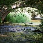 petit pont sur la Cure dans le Morvan