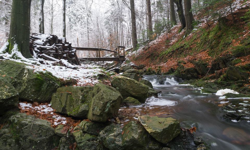 Petit pont sur la petite rivière