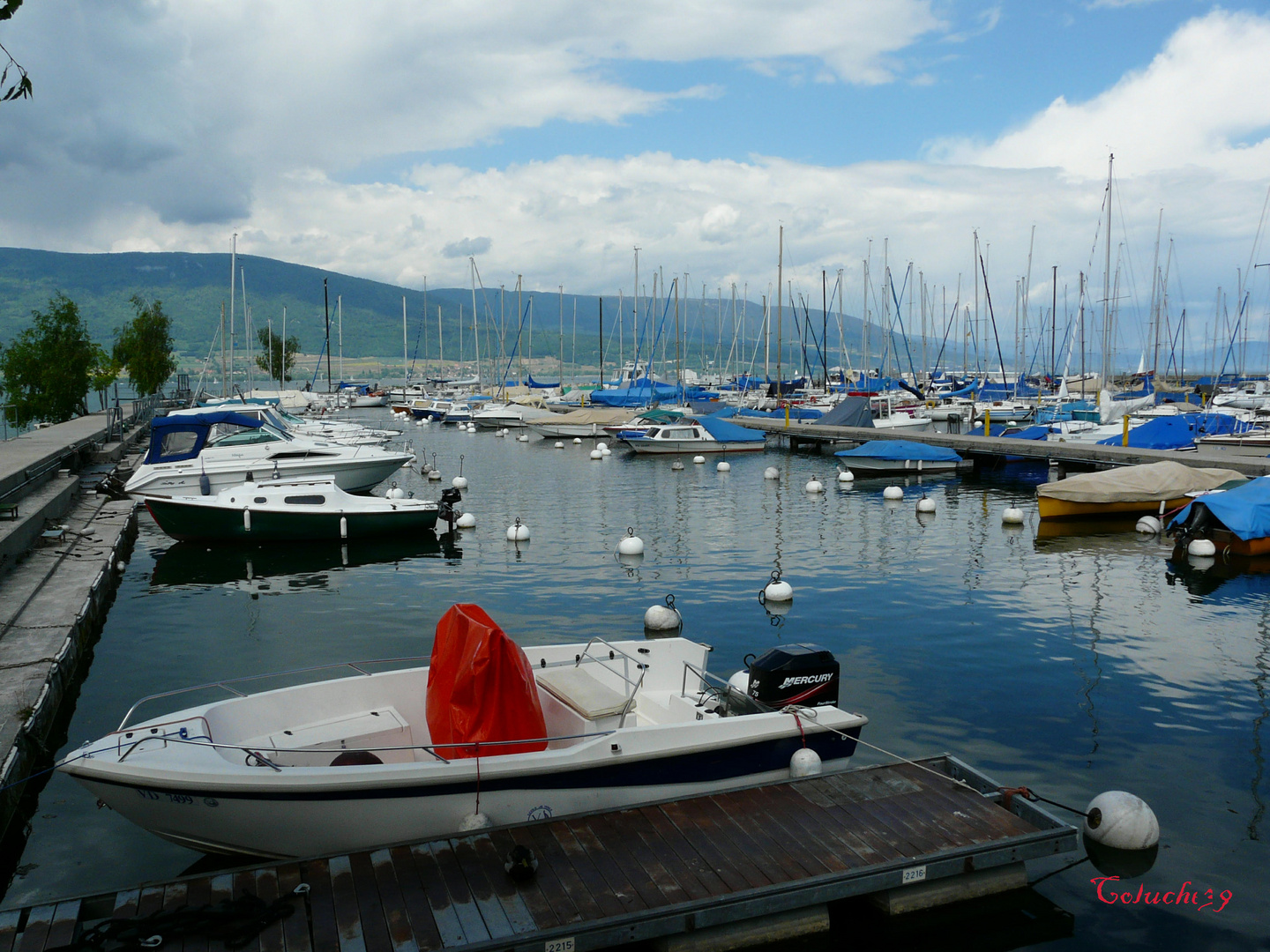 Petit port sur un lac Suisse