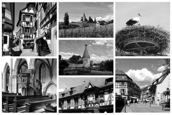 Petit résumé de Ribeauvillié