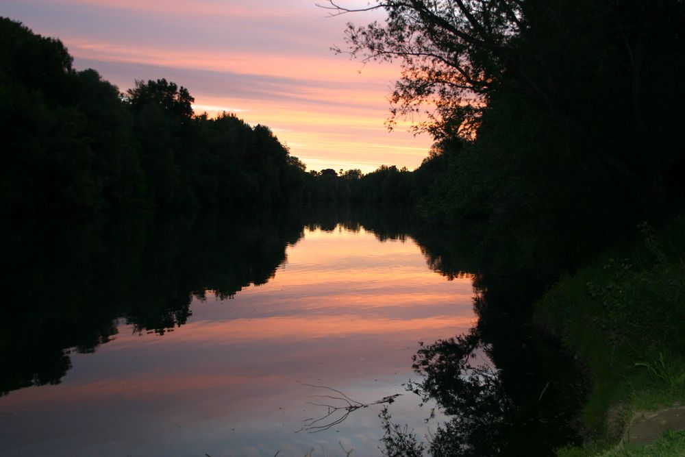 petit rhone Foto & Bild natur Bilder auf