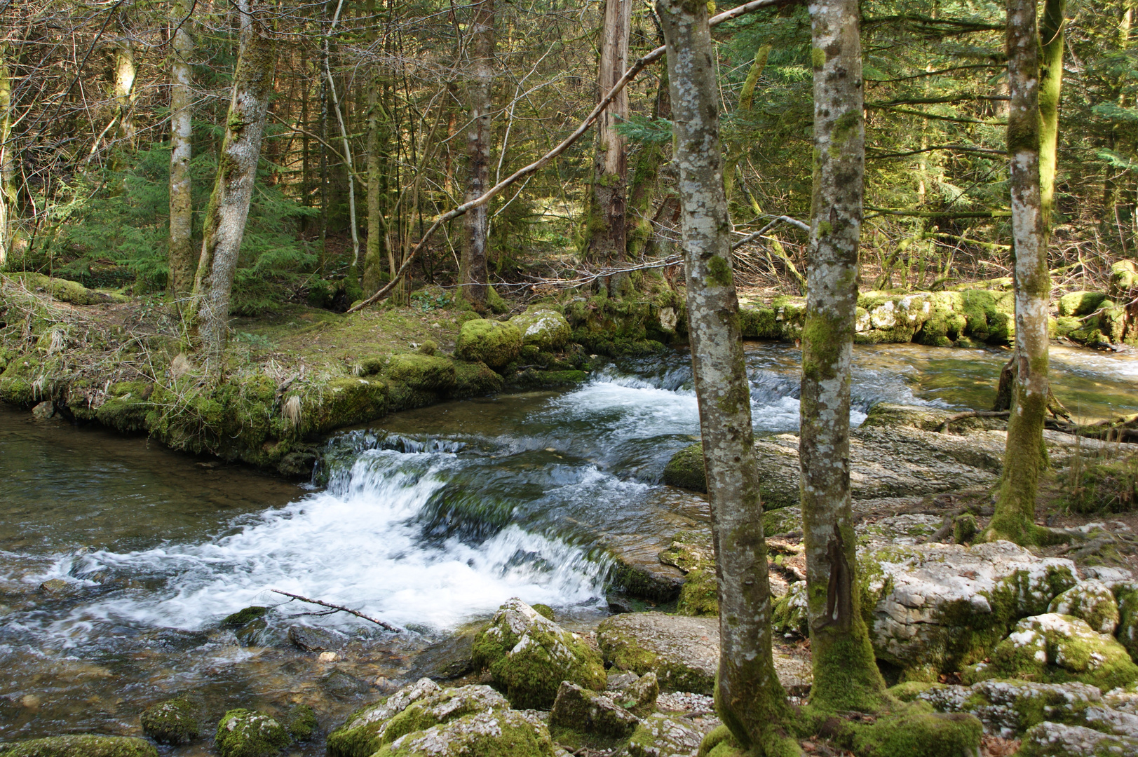 petit riviere tranquille