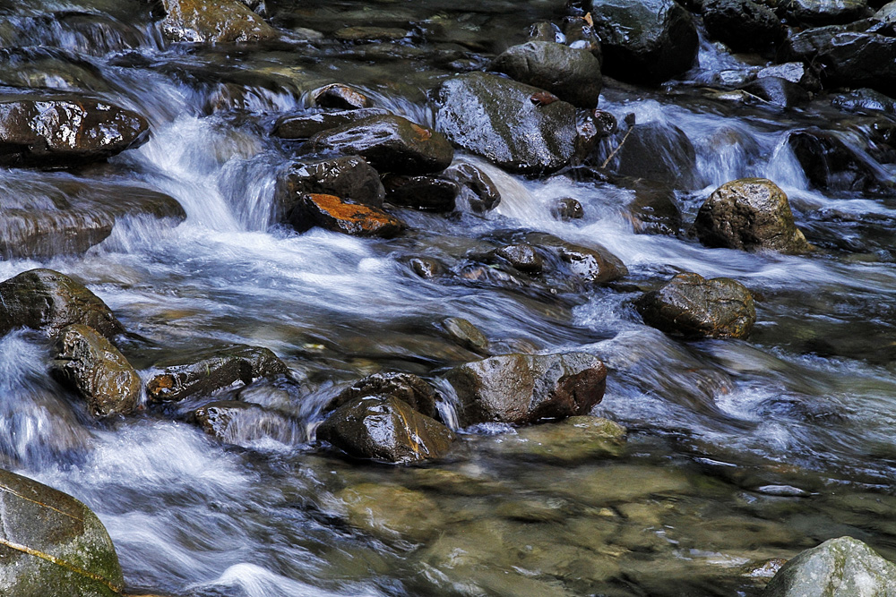 petit ruisseau deviendra grand ! photo et image paysages, lacs