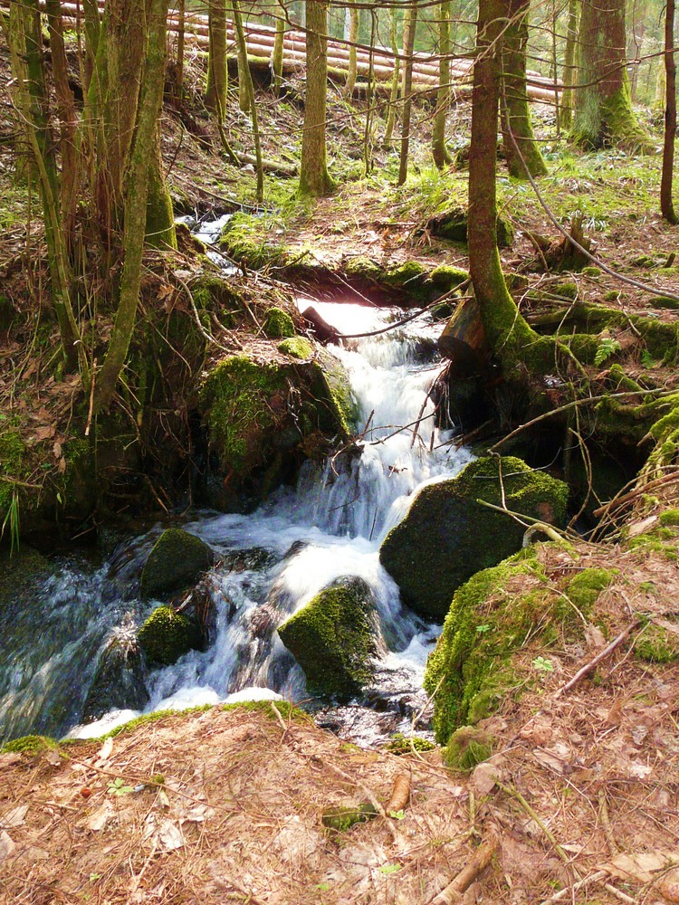 PETIT RUISSEAU DEVIENDRA GRAND