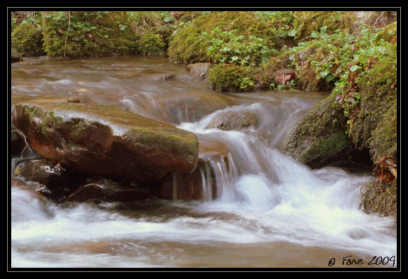 Petit ruisseau du Pays Basque (Aézaguerria)