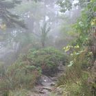 petit sentier de montagne