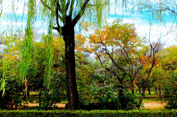 Petit tableau.automnal.