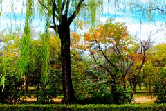 Petit tableau.automnal.