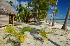 PETIT TIKEHAU TUAMOTU ATOLL