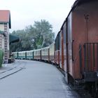 petit train de la baie de somme (4)