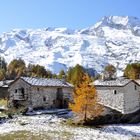 Petit village savoyard : Le Monal