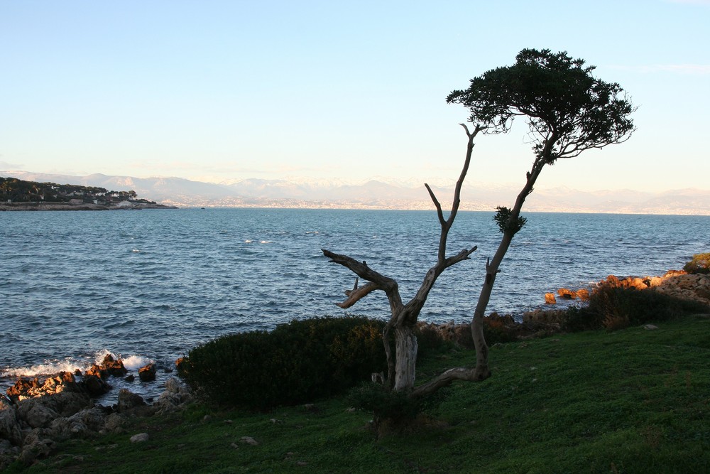 petit vue du cap d'antibes