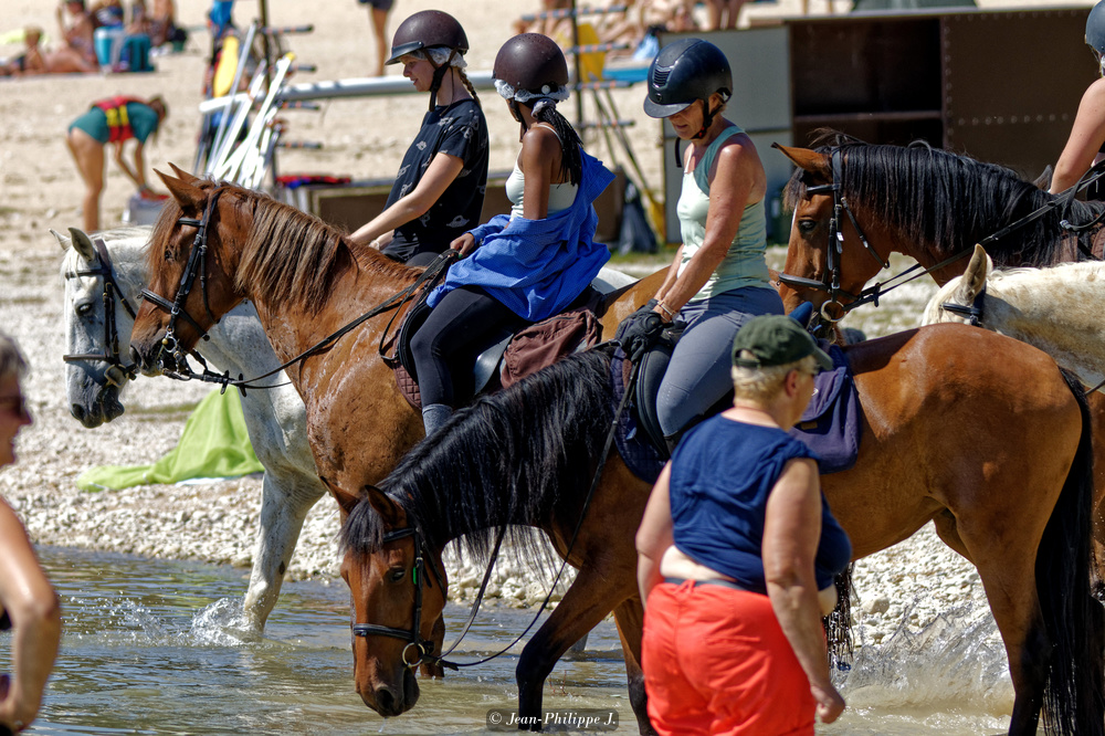 Petite balade à cheval -