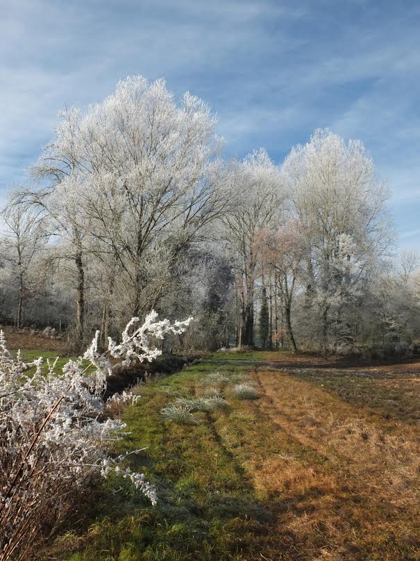 Petite ballade matinale dans la campagne