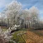 Petite ballade matinale dans la campagne