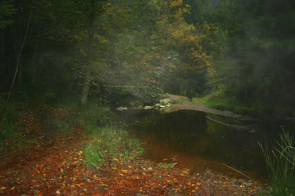 petite brume dans la vallée