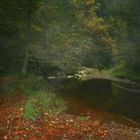 petite brume dans la vallée