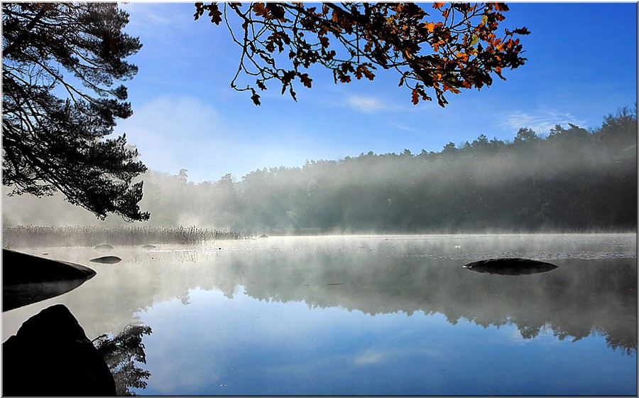 PETITE BRUME MATINALE