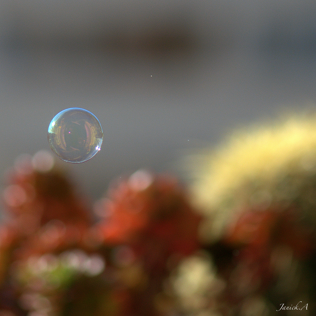 petite bulle...