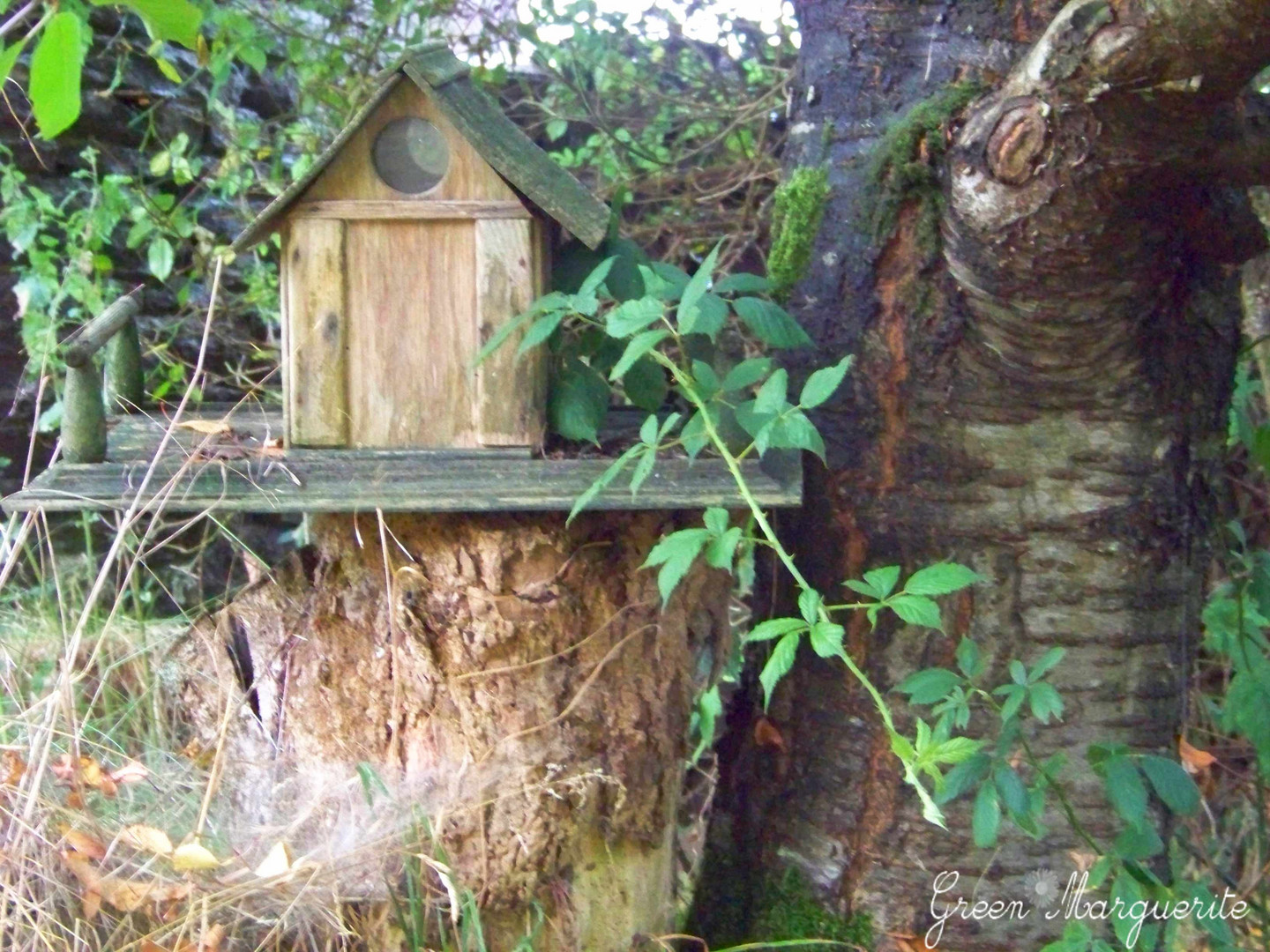 Petite cabane à oiseaux... Recto