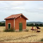 Petite cabane et.....